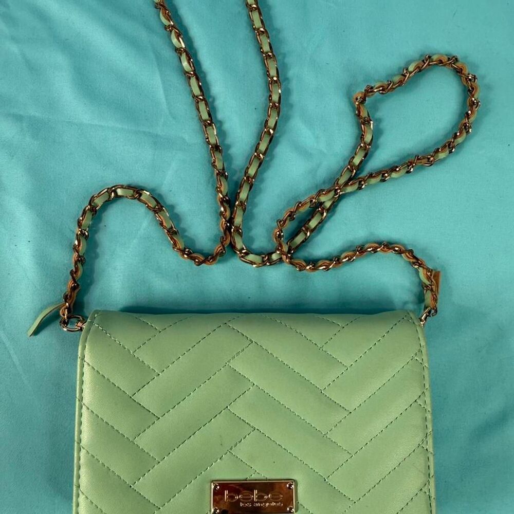 Bebe Women's Green and Blue Bag